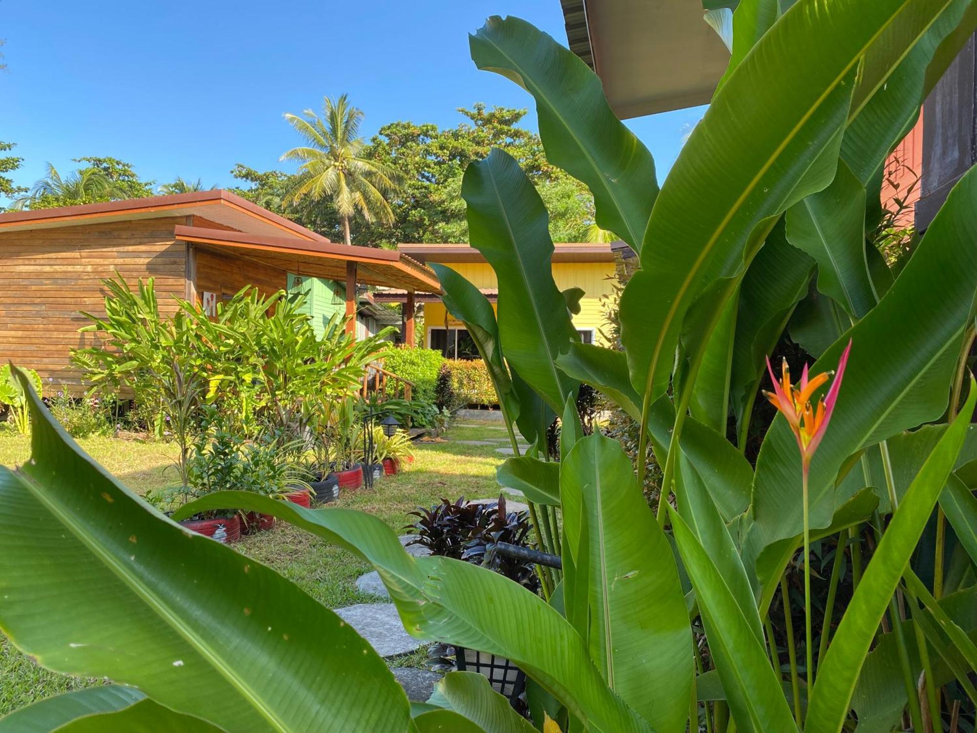 Coconut Lanta Resort @Klong Dow Beach Krabi town Exterior foto